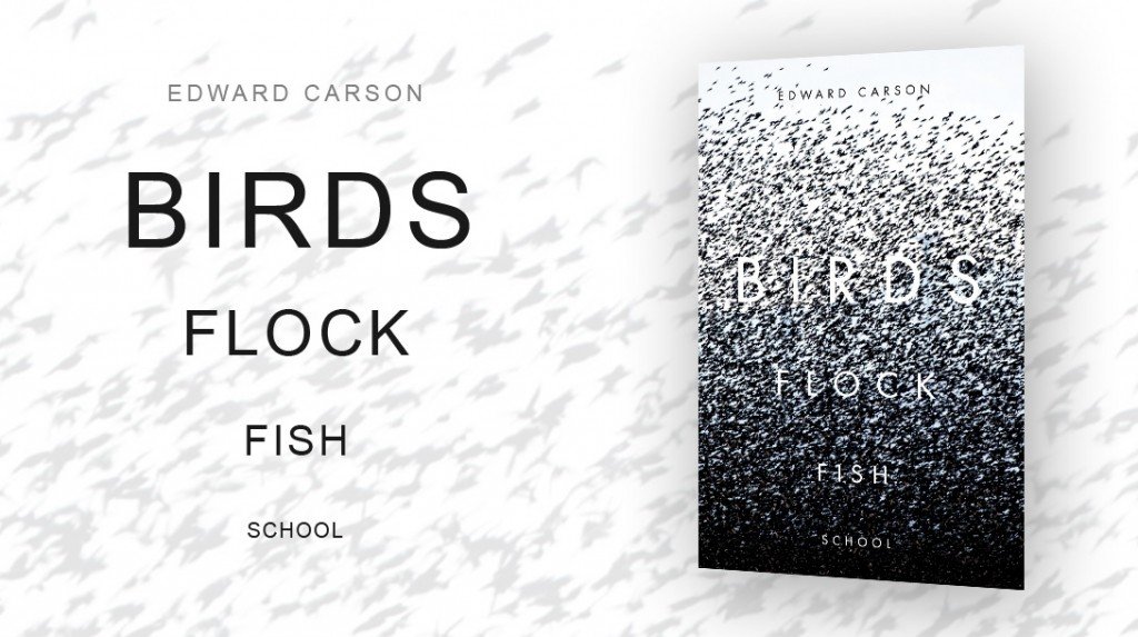 Birds Flock Fish School